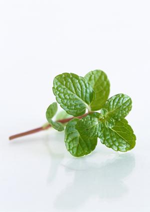 2025年版：銀座で楽しむ絶品フレンチの魅力とおすすめレストランガイド