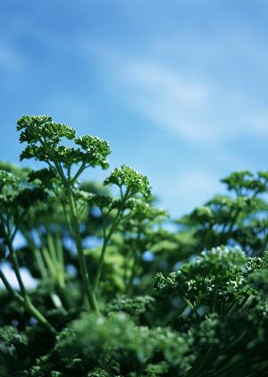 上野の居酒屋「かまどか 上野店」の魅力とは